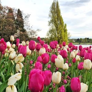 Meet your Posher, Maria